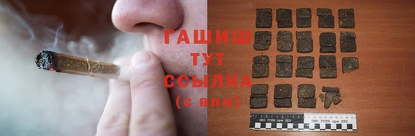 мдпв Надым
