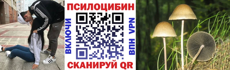 Псилоцибиновые грибы Psilocybe  Гаджиево 